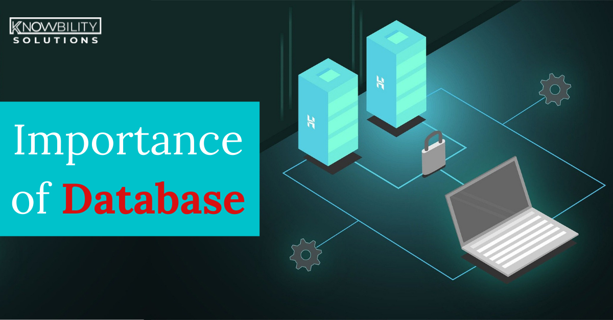 importance-of-database